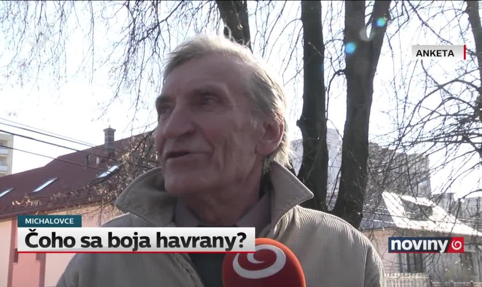 Čoho sa boja havrany?