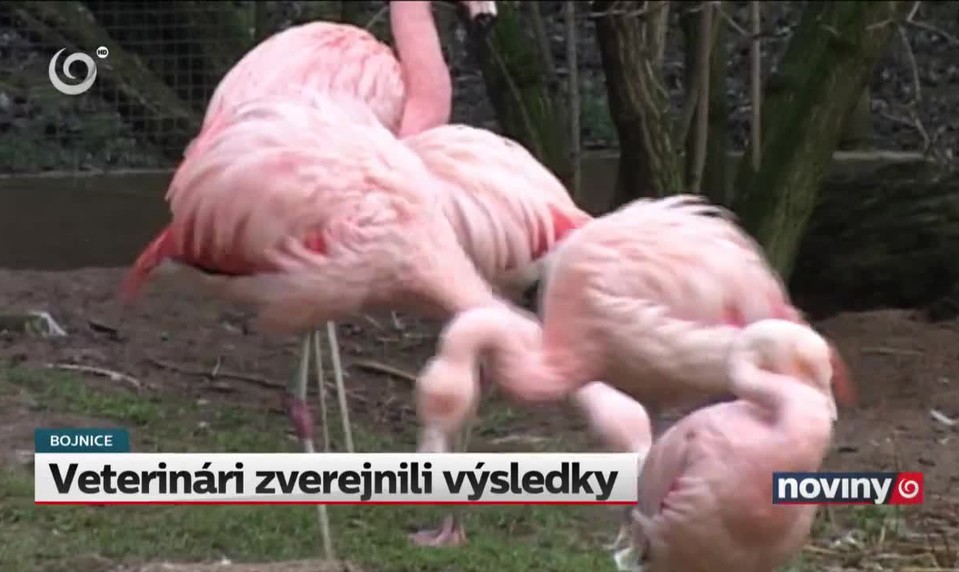 Veterinári zverejnili výsledky