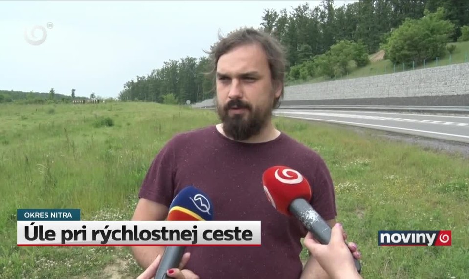 Úle pri rýchlostnej ceste