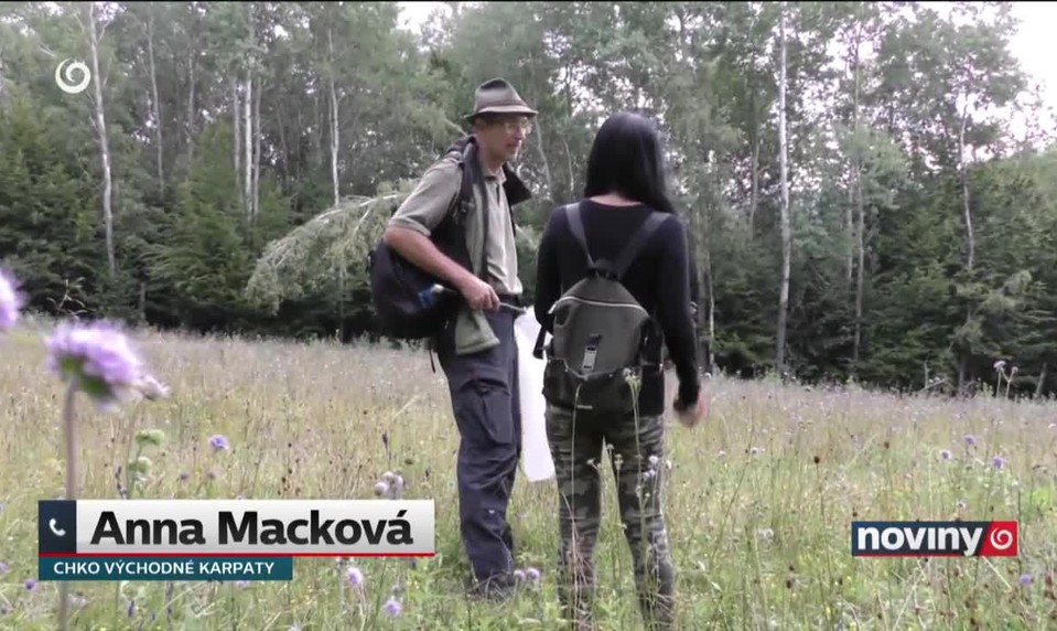 Vzácna fauna aj flóra