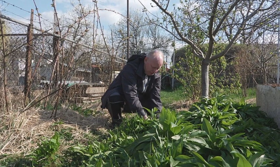 Tento poklad pre zdravie patrí do každej záhrady! Ján Gajdoš radí, ako si ho vypestujete aj vy