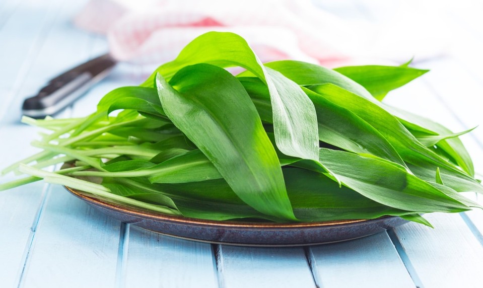 Je tu sezóna medvedieho cesnaku: 3 rýchle a chutné recepty, ktoré musíte vyskúšať!