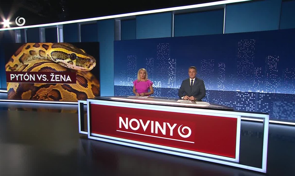 CHLAPEC VYPADOL Z OKNA