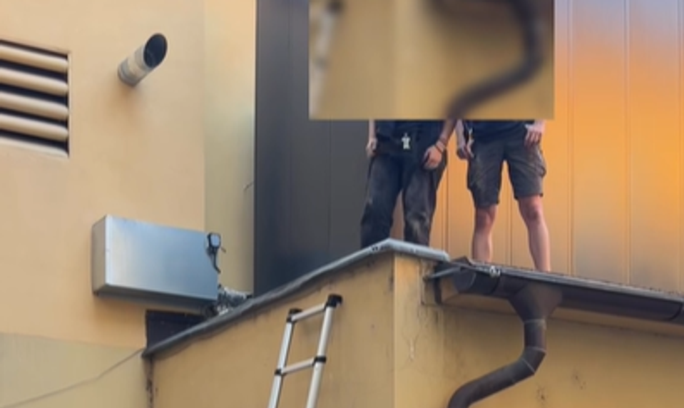 Dvojica zlodejov na streche policajtom tvrdila, že sa vracajú domov a nechcú zobudiť mamu
