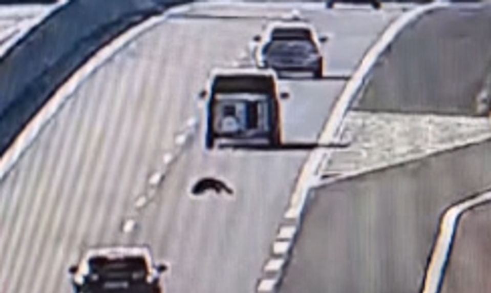 Fenka vo vysokej rýchlosti vypadla z prívesu priamo na diaľnicu pri Nitre