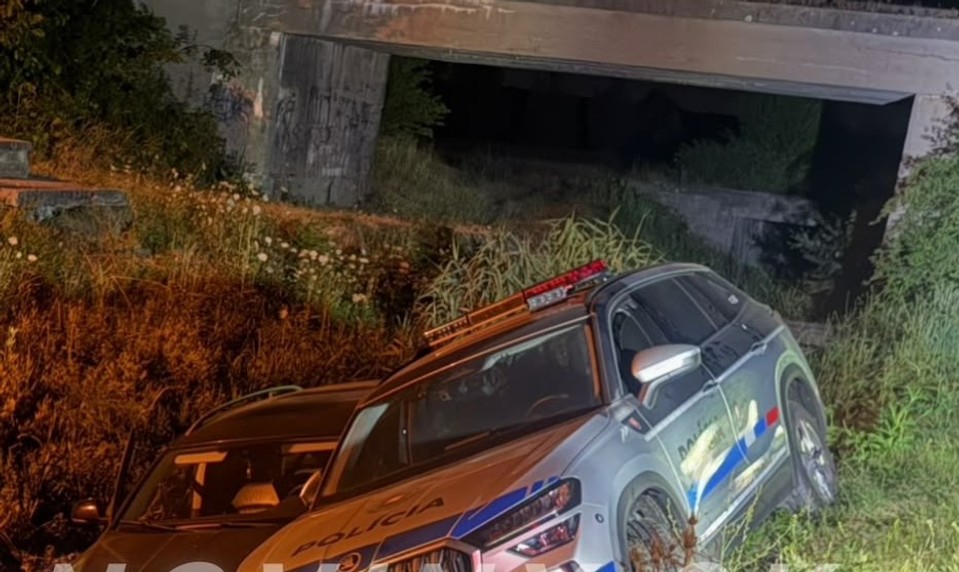 Opitý vodič unikal pred políciou. Pri naháňačke sa zranili dvaja policajti