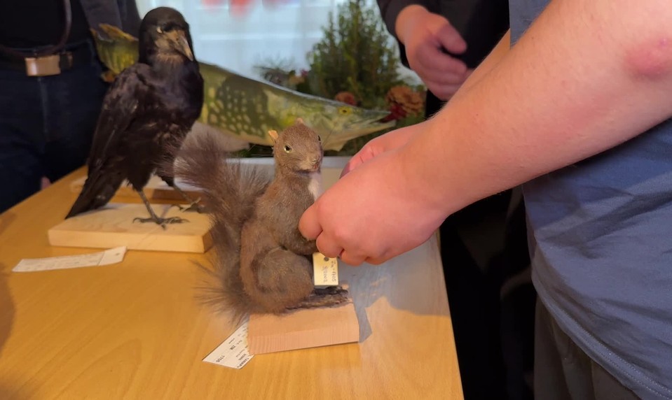 Deti so zrakovým postihnutím môžu spoznávať tatranskú prírodu dotykom exponátov