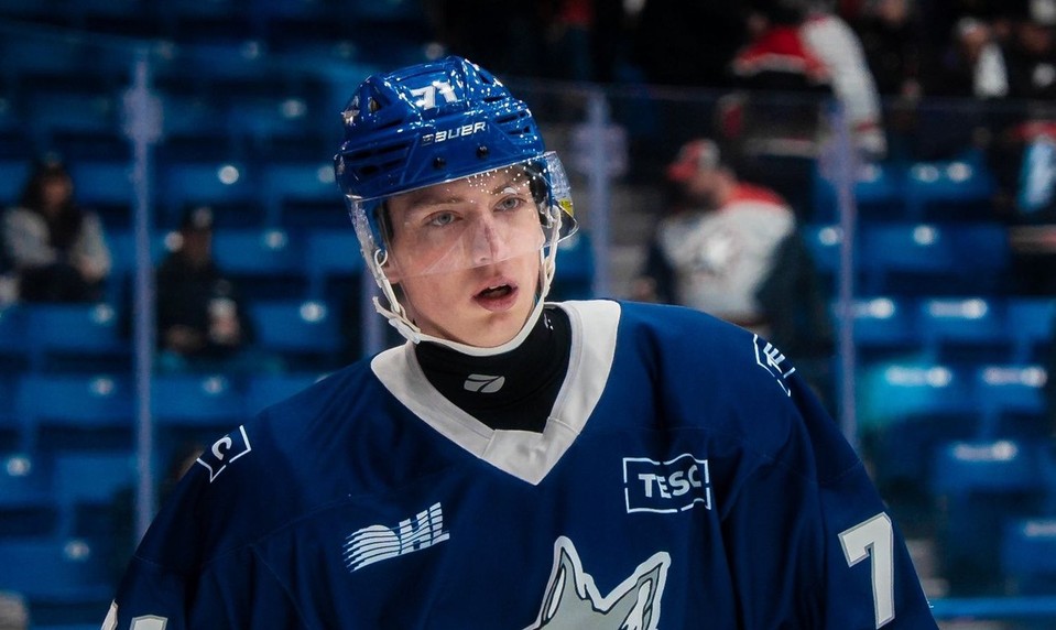 NEMEC päťbodový, CHOVAN s dvoma gólmi a asistenciou