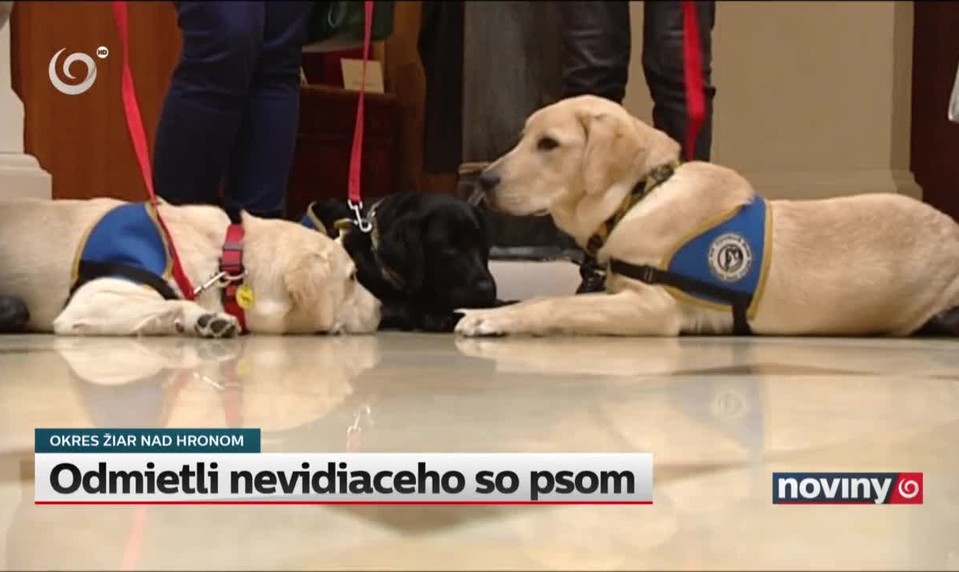 Odmietli nevidiaceho so psom