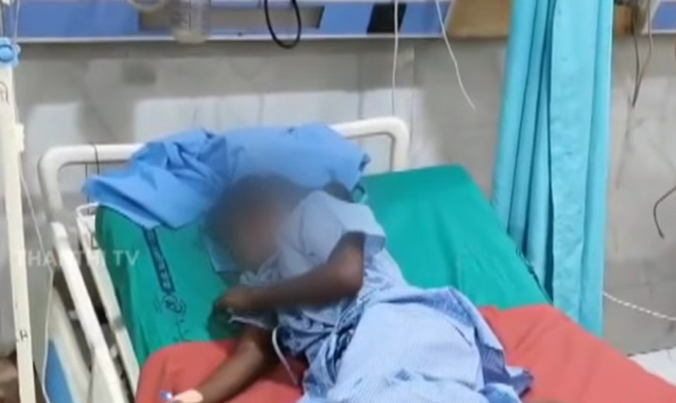 Tragédia na internáte: Jedovatý had pohrýzol šesť spiacich dievčat, tri zomreli