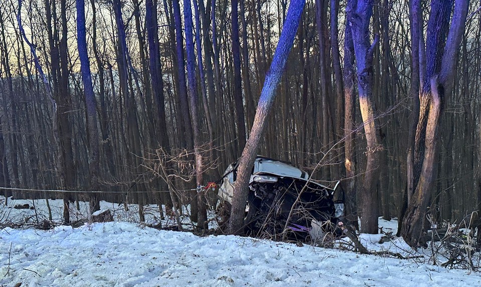 Auto skončilo zakliesnené medzi stromami, 80-ročný vodič nehodu neprežil