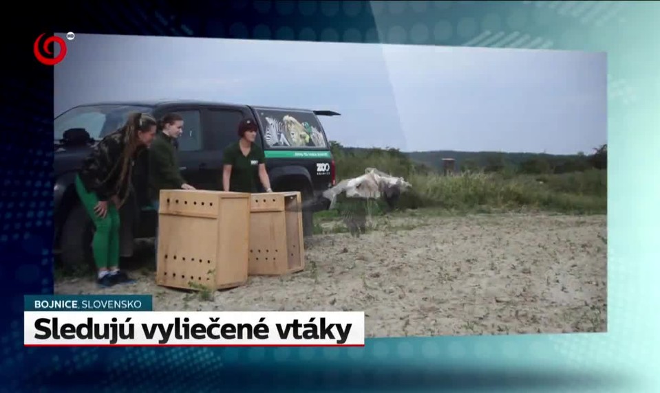 Rebeli použili drony ako zbrane