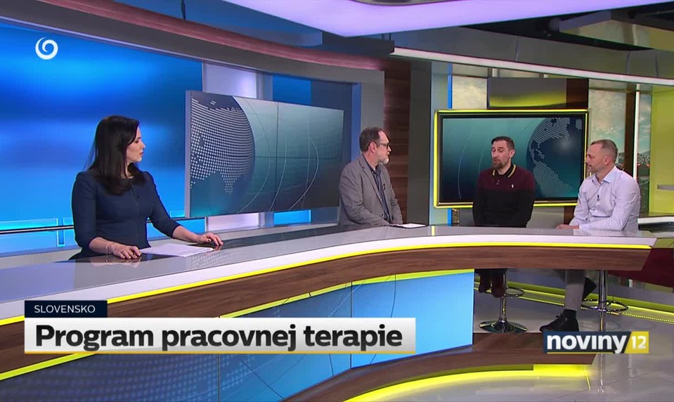 Program pracovnej terapie