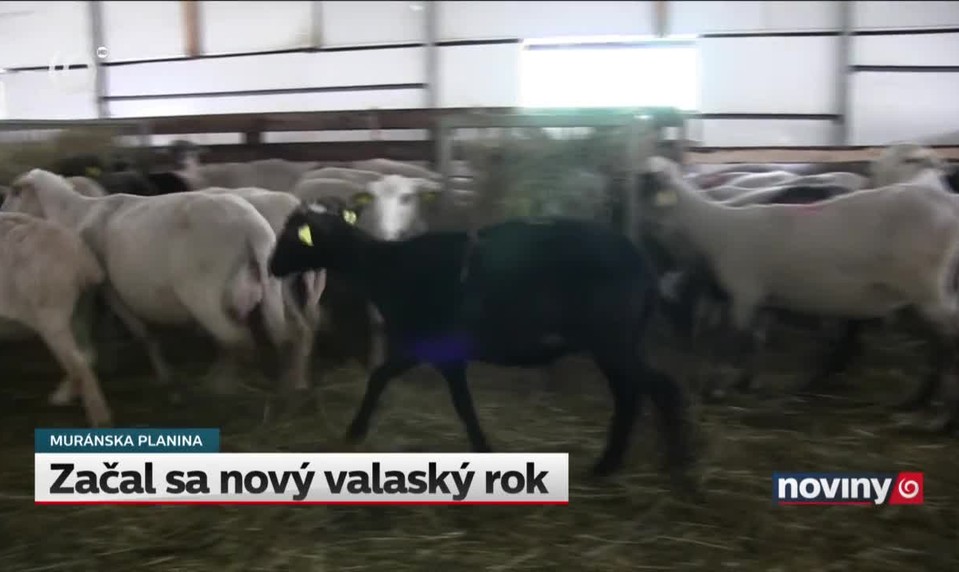 Začal sa nový valaský rok