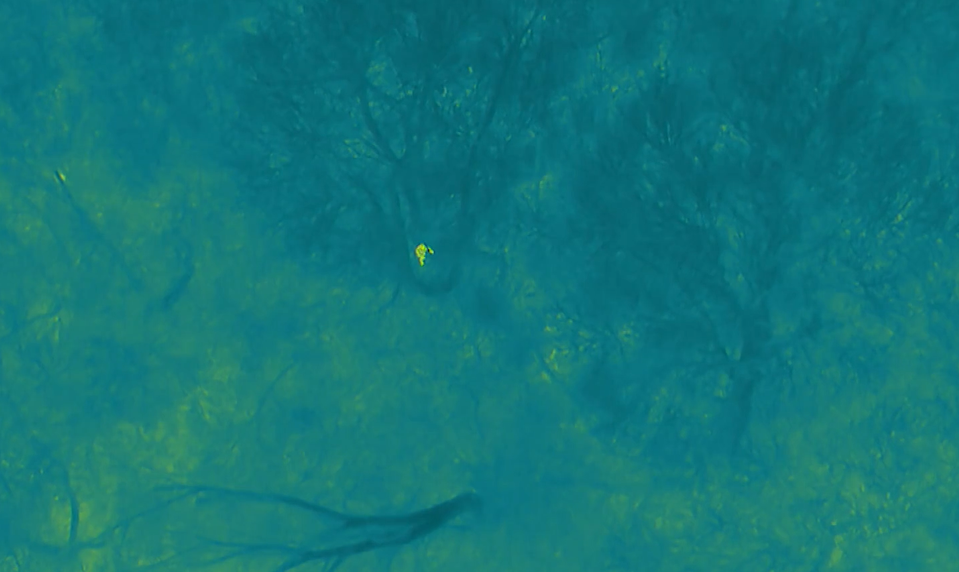 Polícia našla nezvestného seniora vďaka dronu, zasiahli v poslednej chvíli