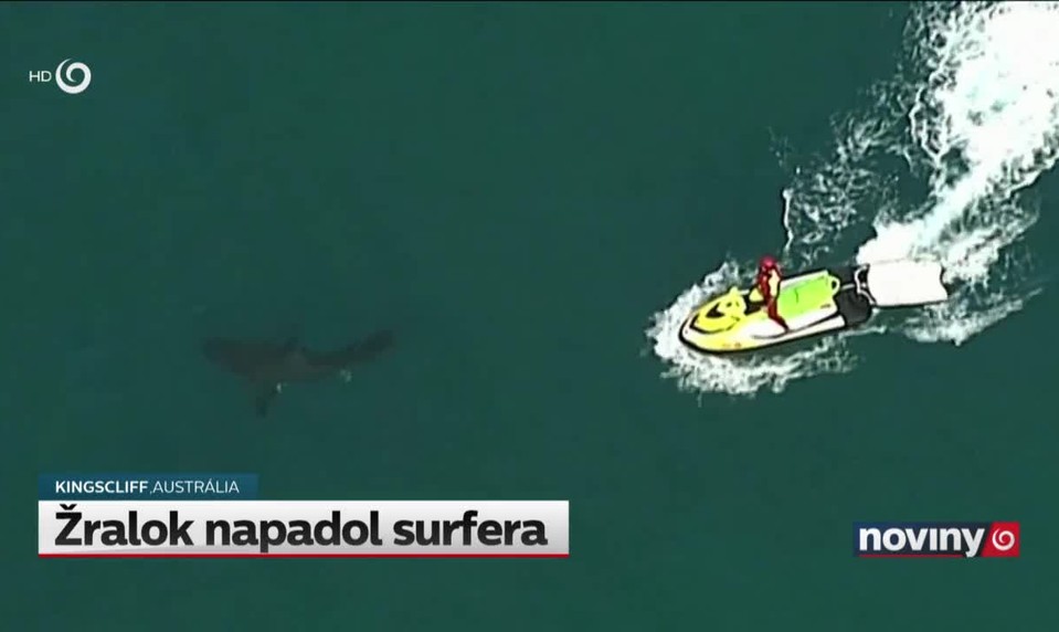 Žralok napadol surfera