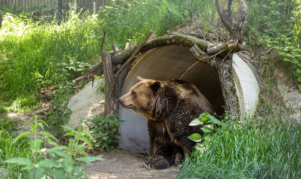 Zomrela ikona bratislavskej ZOO
