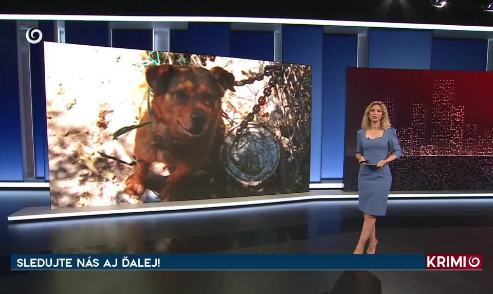 HAVÁRIA KAMIÓNA S ÍRSKOU WHISKY