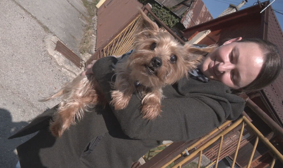 14-ročný psík uviazol v odpadovej rúre. Pomôcť museli hasiči