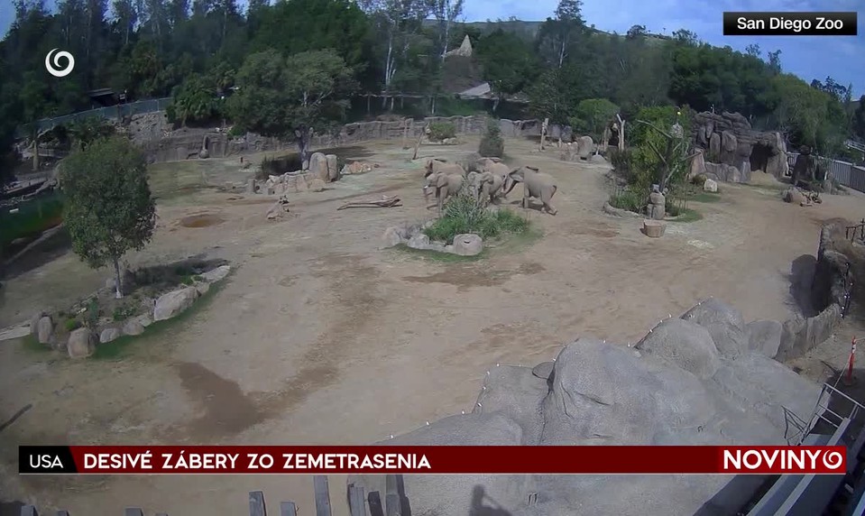 DESIVÉ ZÁBERY ZO ZEMETRASENIA