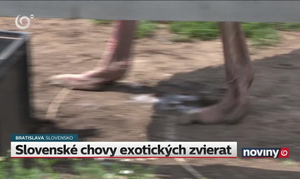 Slovenské chovy exotických zvierat