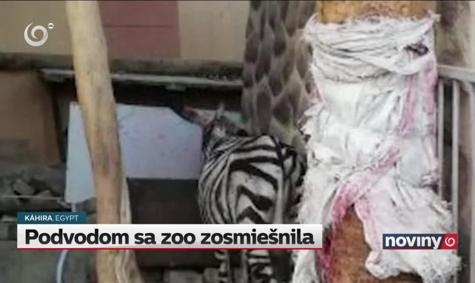 Podvodom sa zoo zosmiešnila