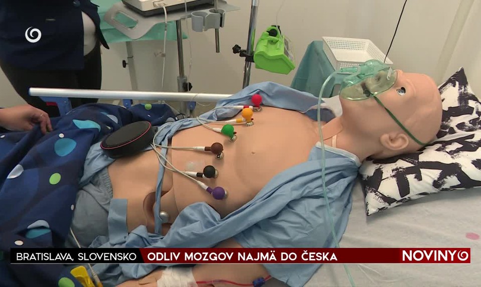 ODLIV MOZGOV NAJMÄ DO ČESKA