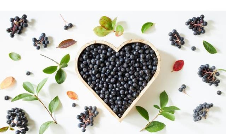 Kráľovná antioxidantov, ktorá zaujala aj vedcov: "Prečo je slovenská arónia  číslo 1 na vašu imunitu?!“