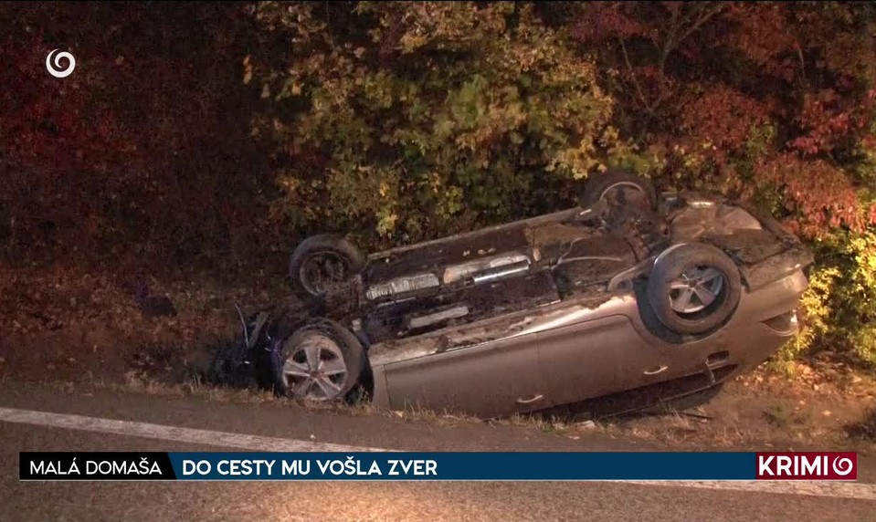 DO CESTY MU VOŠLA ZVER