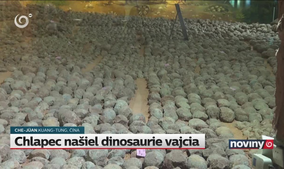 Chlapec našiel dinosaurie vajcia