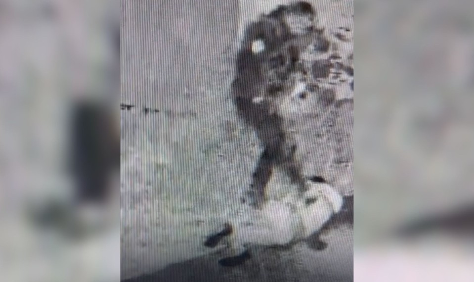 Policajt na záberoch kope do ležiaceho mladíka. Video obletelo sociálne siete