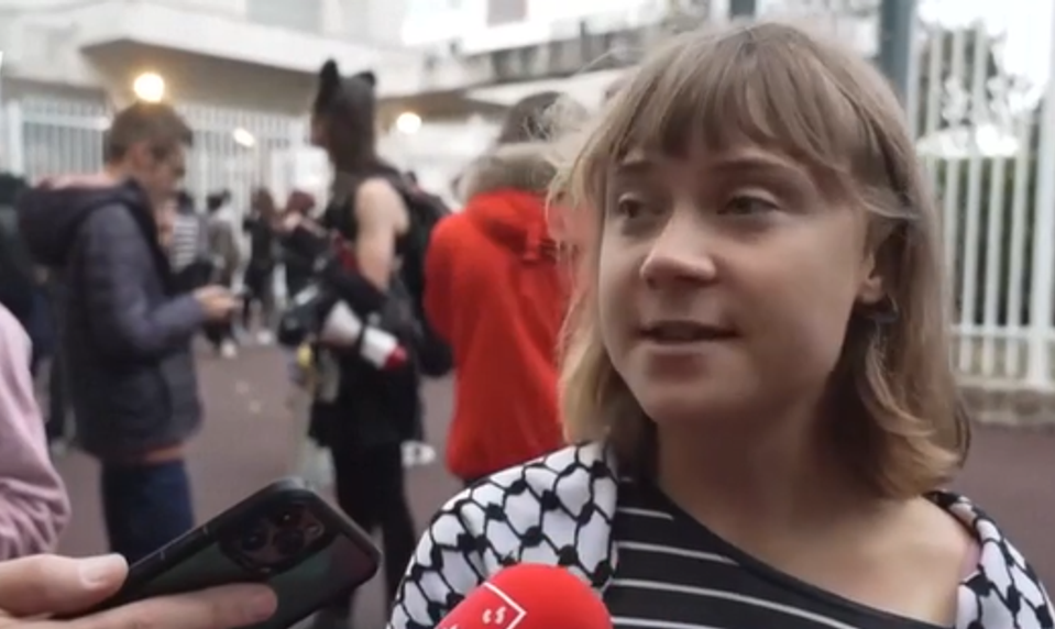 Francúzske školstvo v plameňoch: Študentské protesty naberajú na sile, pridala sa aj Greta Thunbergová