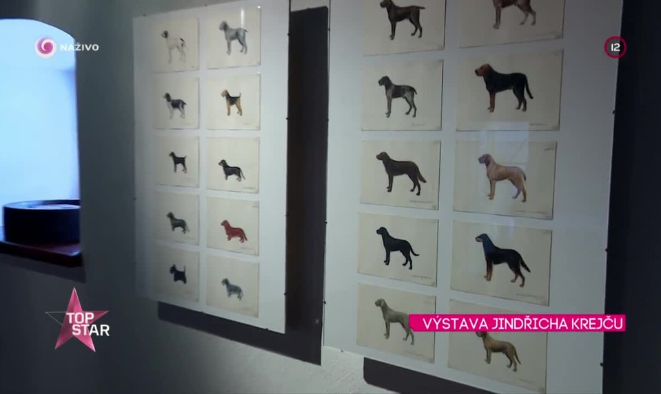 VÝSTAVA JINDŘICHA KREJČU