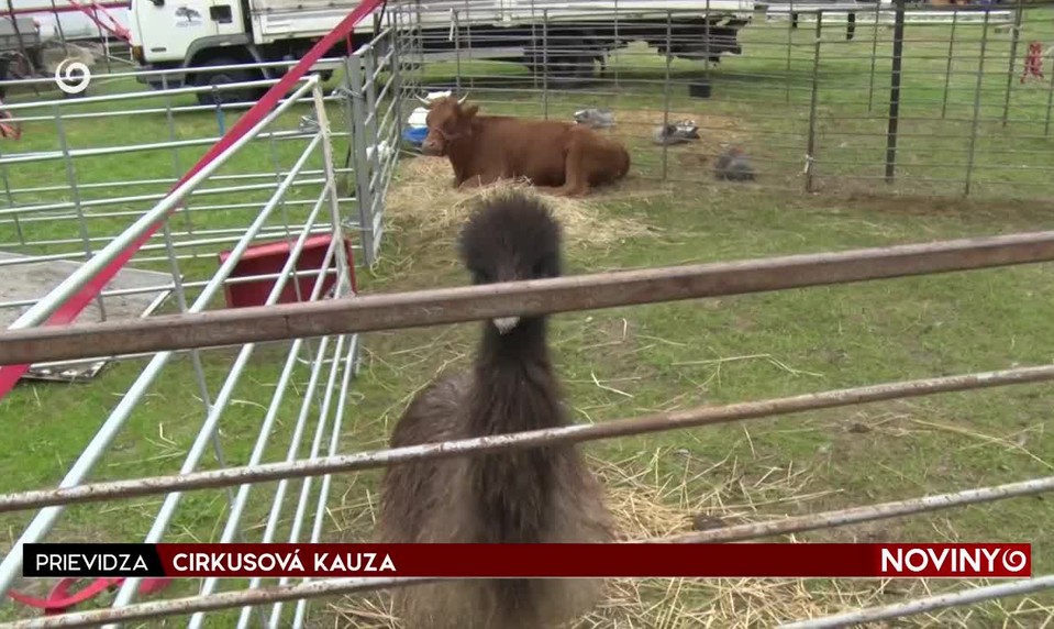 CIRKUSOVÁ KAUZA