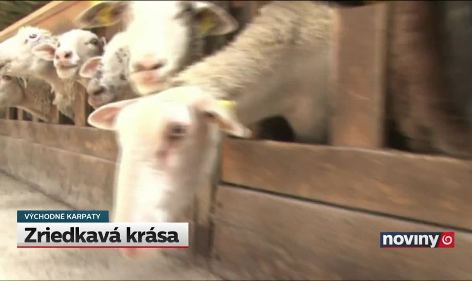 Slovenský "kruháč" v Poľsku