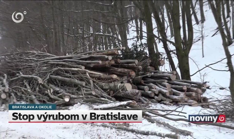 Stop výrubom v Bratislave