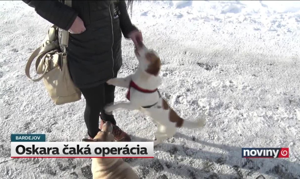 Oskara čaká operácia