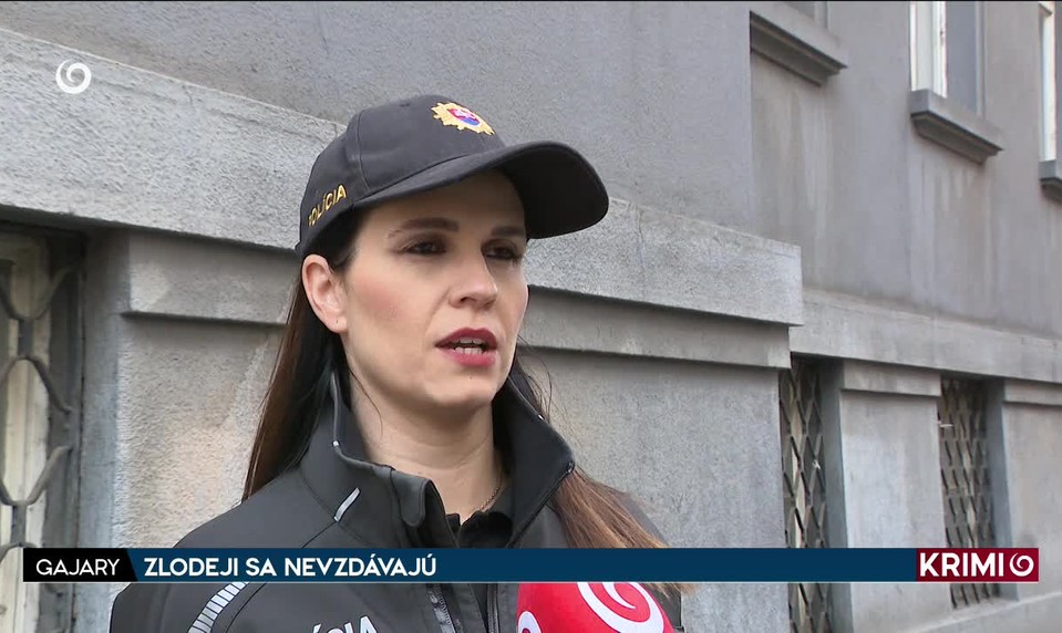 ZLODEJI SA NEVZDÁVAJÚ