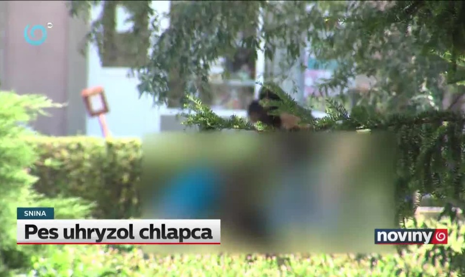 Pes uhryzol chlapca
