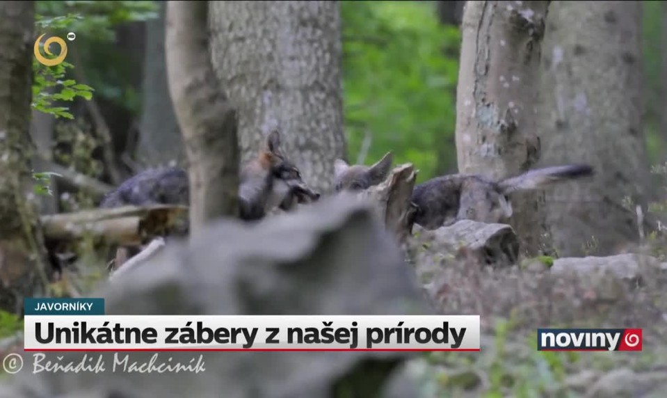 Unikátne zábery z našej prírody