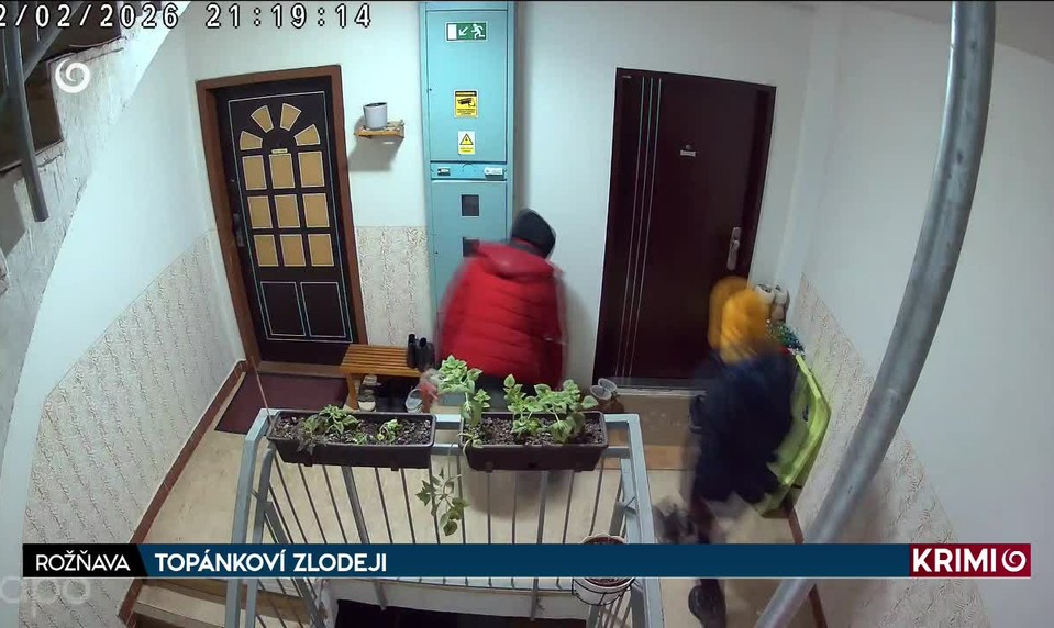 TOPÁNKOVÍ ZLODEJI
