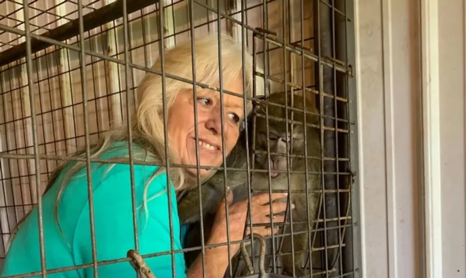 Pestúnka mala poslať dievča do iného štátu výmenou za opicu. Žena (70) do väzenia nepôjde