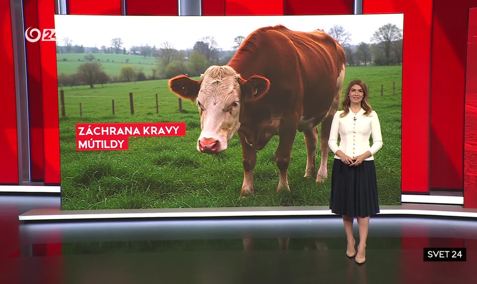 Svet 24 o unikátnych kamenných stavbách aj o novej potravine pre včely