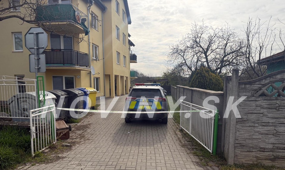 Nočná hádka sa skončila tragicky: Žena mala dobodať svojho partnera
