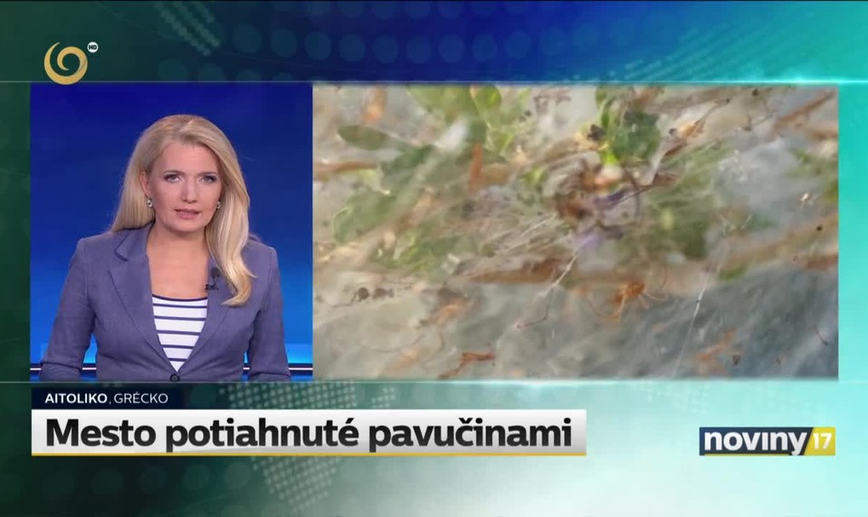 Mesto potiahnuté pavučinami