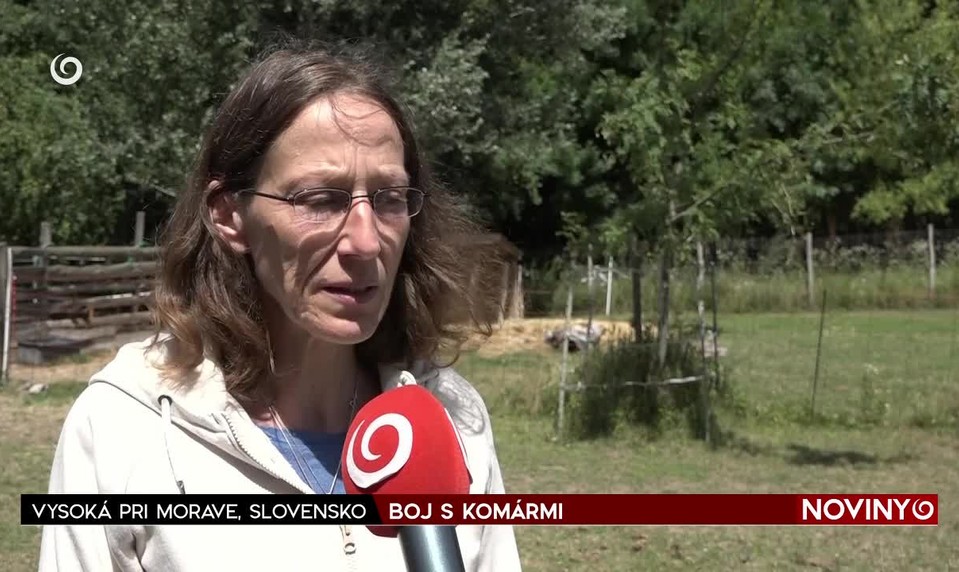 BOJ S KOMÁRMI