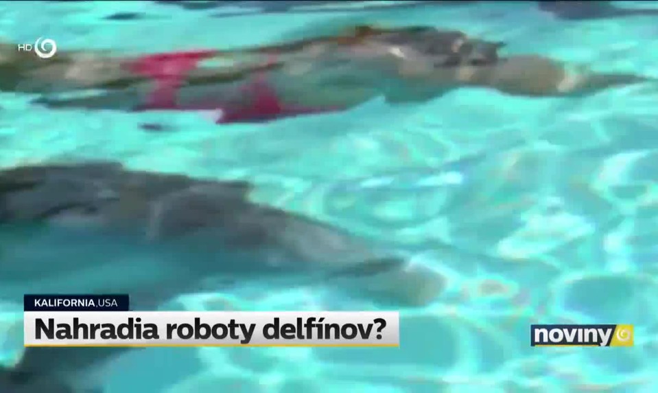 Nahradia roboty delfínov?