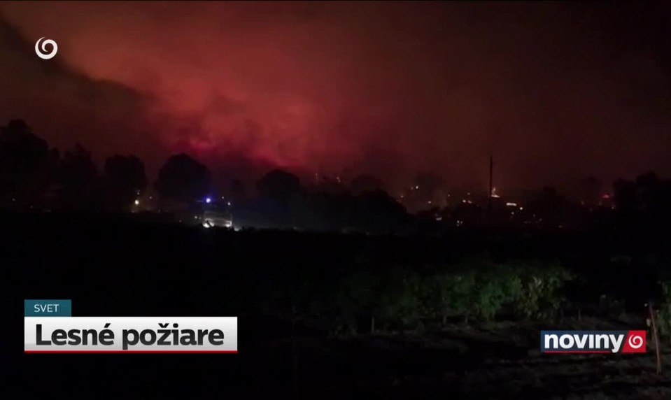 Lesné požiare