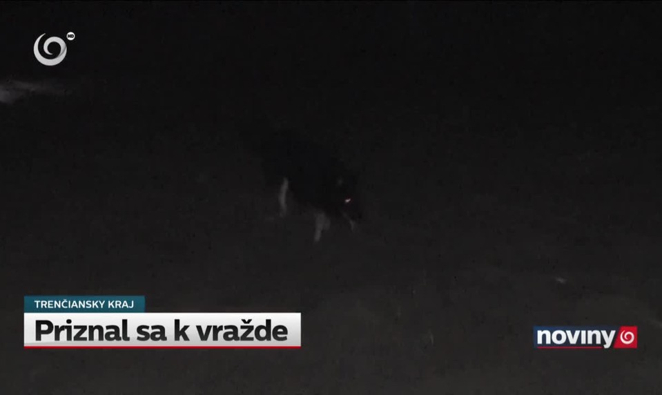 Priznal sa k vražde