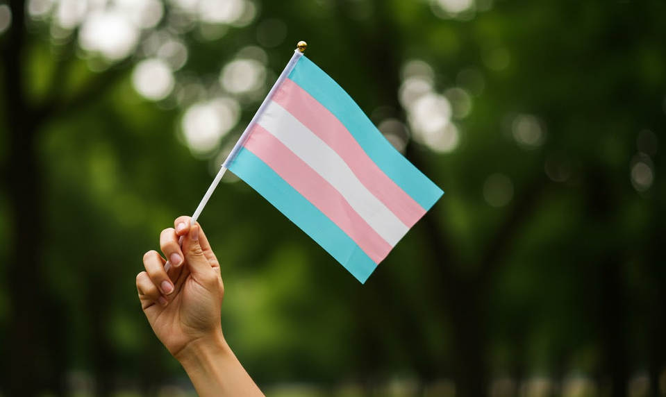 Desiatky transrodových ľudí na Slovensku márne čakajú na zmenu dokladov. Chýbajú jasné pravidlá